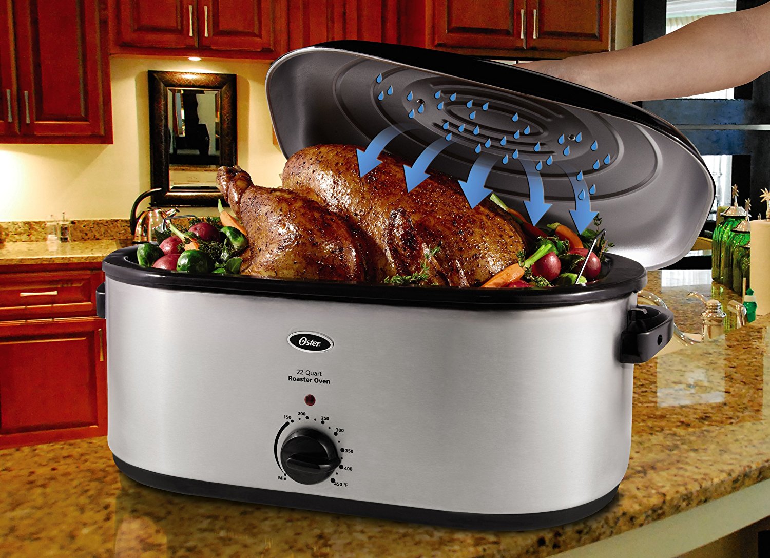 Sunvivi Electric Roaster Oven Review
