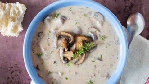 anti-inflammatory mushroom recipes Anti-Inflammatory Mushroom Recipes