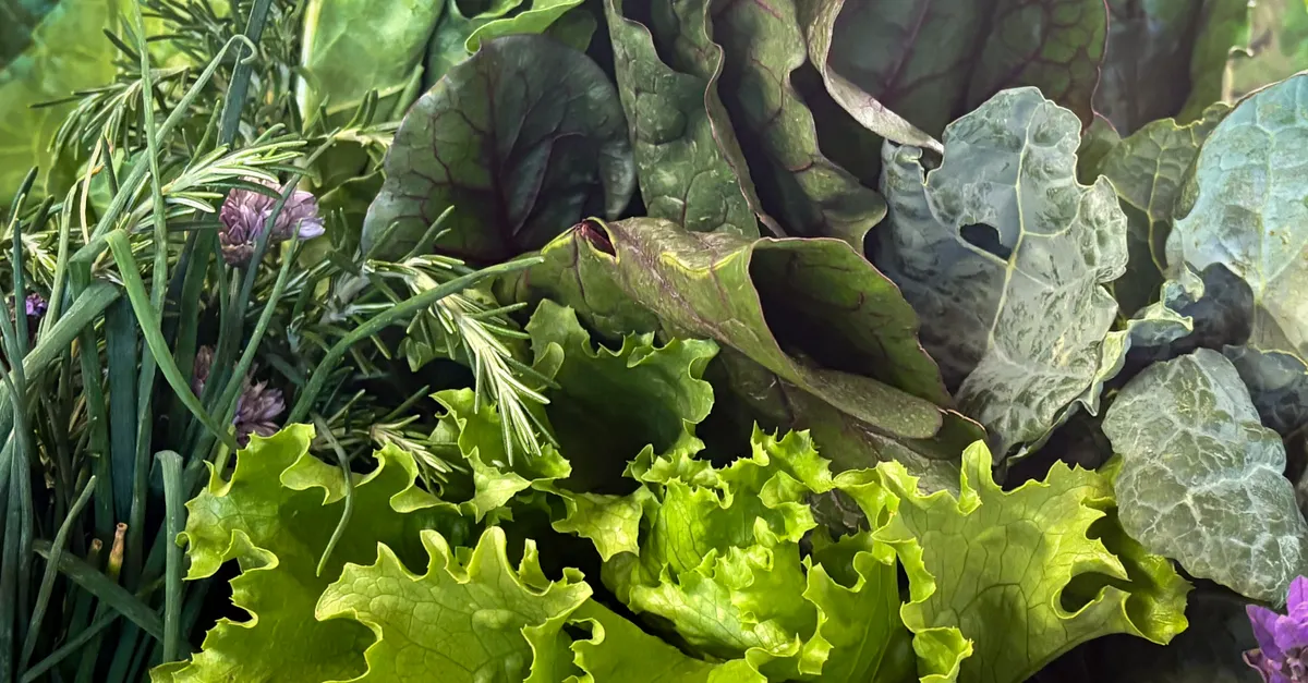 Choosing the Best Seasonal Spring Vegetables &mdash; vegetable quiche with seasonal veggies